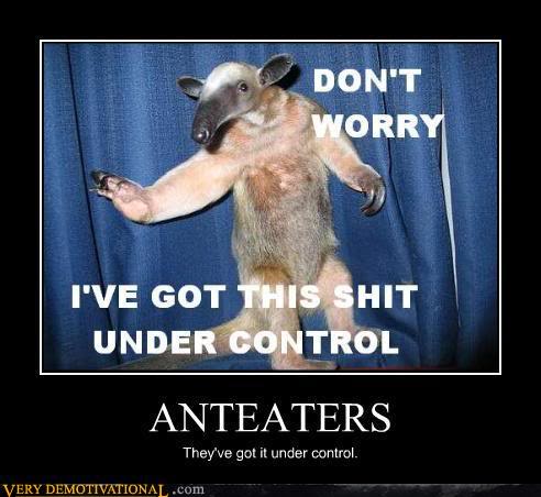 Anteaters