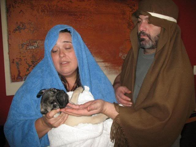 Pug Jesus